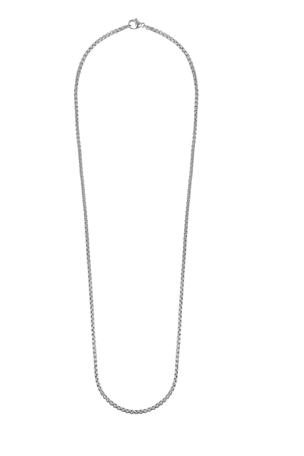 Serpentine Chain Necklace